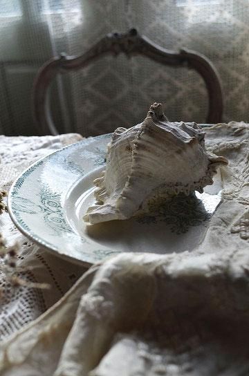 リュネヴィル製白鳥やカメオ柄のプレート【パディントン】｜ブロカント