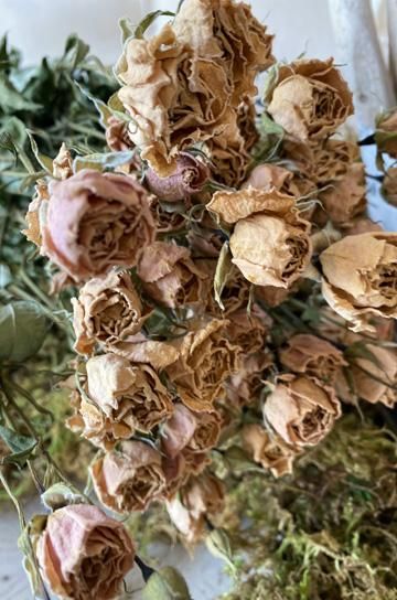 ドライフラワーミニバラ【パディントン】｜アンティーク家具