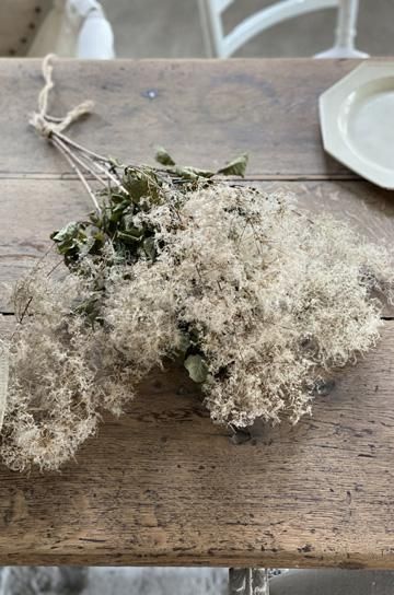 ドライフラワースモークツリー【パディントン】｜アンティーク家具