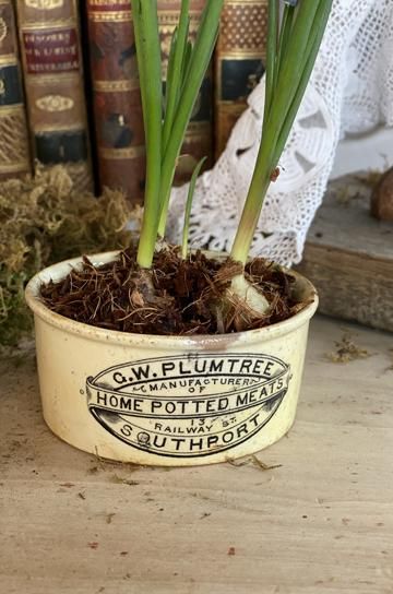 イギリスアンティーク ポッテットミートジャー HOME POTTED MEAT
