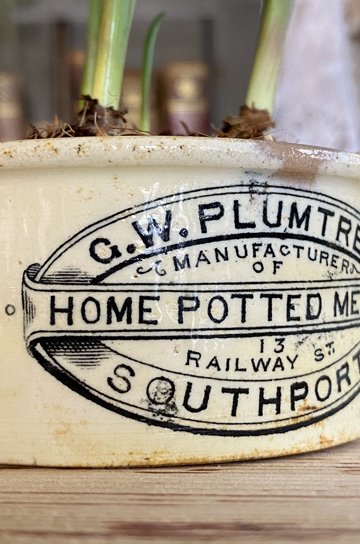 G. W. Plumtree,home potted meats,