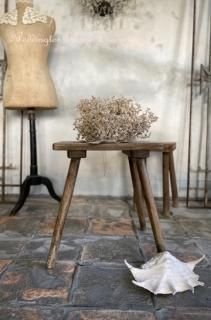 アンティークスツール｜アンティーク家具【パディントン】