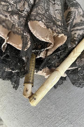 ¥¢¥ó¥Æ¥£¡¼¥¯¥ì¡¼¥¹