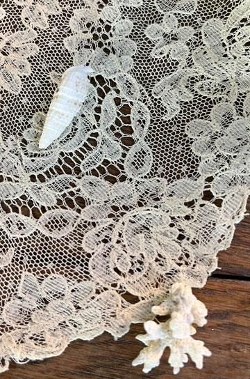 プリンセスブリュッセルレース【パディントン】｜ブロカント