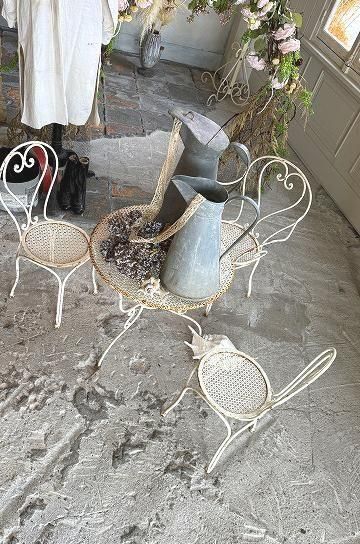 ¥¢¥¤¥¢¥ó¥¬¡¼¥Ç¥ó¥Á¥§¥¢