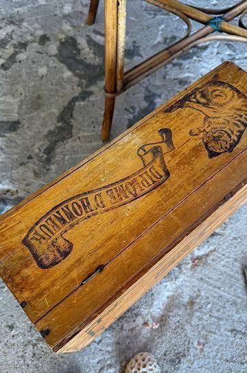 大幅値下げ‼︎ フランスアンティーク・ 可愛い5匹の仔猫ちゃん 大幅値下げ‼︎ フランスアンティーク・ 可愛い5匹の仔猫ちゃん