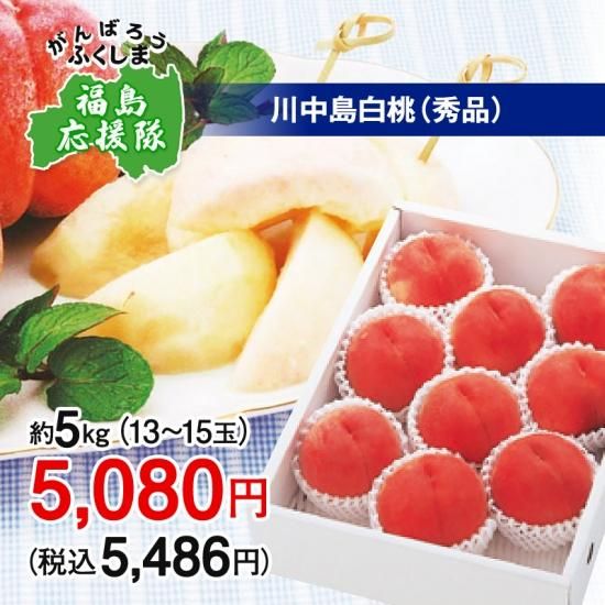 福島の桃「川中島白桃」 約5kg（13～15玉）【福島県産・送料無料