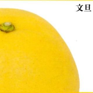 ʸöڤѡ 3kg L2L 67