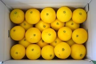 ơڤѡ 10kg S̺ 5580