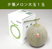 夕張メロン(優品)大玉1玉入れ(約1.6Ｋｇ)【送料無料】 - 夕張友酉市場