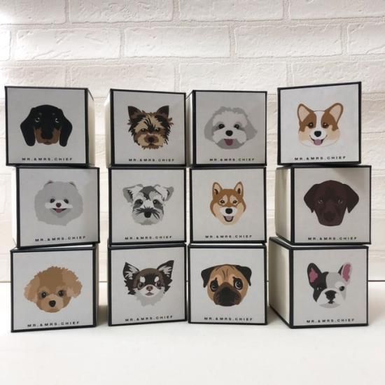 INU-003 パグ - MR.&MRS.CHIEF