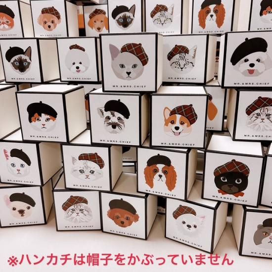 INU-003 パグ - MR.&MRS.CHIEF