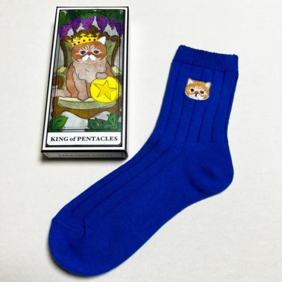 SOCKS NEKO エキゾチックショートヘアー - MR.&MRS.CHIEF