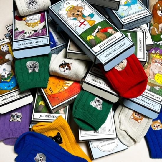 SOCKS INU ミニチュアシュナウザー - MR.&MRS.CHIEF