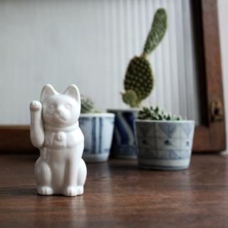 四六時中 shirokujichu -