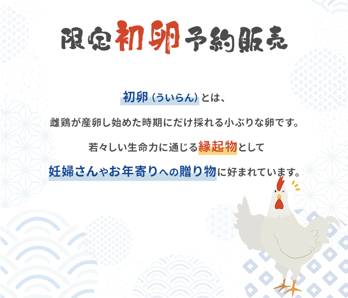 「初卵（ういらん）は、雌鶏が産卵し始めた時期だけに採れる小ぶりな卵です。若々しい生命力を思わせる縁起物として妊婦さんやお年寄りへの贈り物に好まれています。