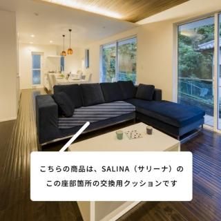 SARINAʥ꡼ʡѡѺå󣳿ͳݤʬ