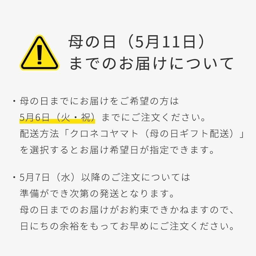 ケアソク公式オンラインショップ「母の日ギフトセットA」|株式 ケアソク公式オンラインショップ「母の日ギフトセットA」|株式