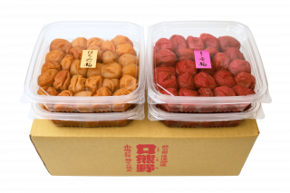 ڤ渵ڡ10OFF桪۸̣襤500g2