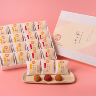 【お中元キャンペーン10%OFF開催中!】紀州南高梅 梅ふふむ16粒【送料無料】