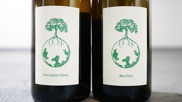 3360] MORILLON VOM OPOK 2015 - ナチュラルワイン(自然派ワイン