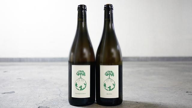 3360] MORILLON VOM OPOK 2015 - ナチュラルワイン(自然派ワイン