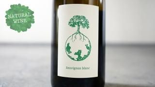 [3360] SAUVIGNON BLANC VOM OPOK 2015