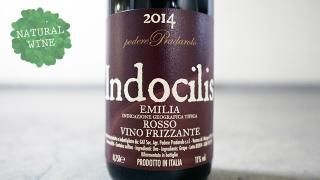 [2560] INDOCILIS ROSSO VINO FRIZZANTE 2014