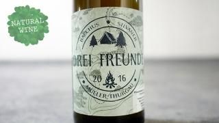 [3040] DREI FREUNDE 2016 2NATURKINDER / ɥ饤ե 2016 ĥʥȥ