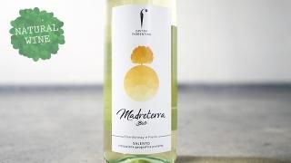 [1520] Madreterra Bianco 2018 Cantina Fiorentino / ޡɥƥå顦ӥ 2018 ƥʡեƥ