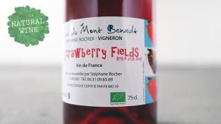 [2400] Strawberry Fields 2017 La Ferme de Mont Benault / ȥ٥꡼ե 2017 롦եࡦɡ󡦥֥Ρ