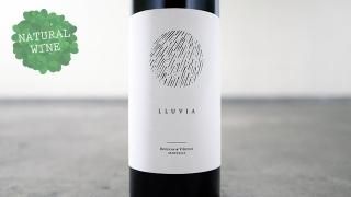 [1950] LLUVIA 2017 BODEGAS SENTENCIA / ӥ 2017 ܥǥƥ󥷥