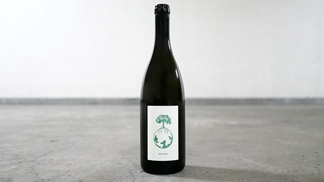 3150] MORILLON VOM OPOK 2017 WERLITSCH / モリヨン・フォン