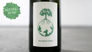 [3150] SAUVIGNON BLANC VOM OPOK 2017 WERLITSCH / ˥֥󡦥ե󡦥ݥå 2017 å