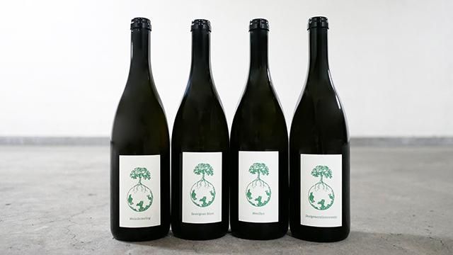 3150] WELSCHRIESLING VOM OPOK 2017 WERLITSCH / ヴェルシュ