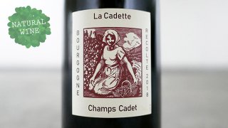 [3000] Bourgogne Rouge - Champs Cadet 2018 Domaine de la Cadette / 󡦥 2018 ɥ᡼̡ɡ顦ǥå