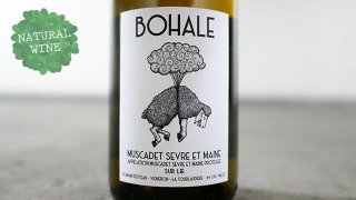[1980] Tourlaudiere Bohale Muscadet Sevre et Maine sur lies 2019 Domaine du La Tourlaudiere
