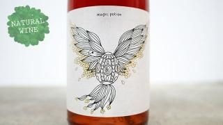 [2450] agic Potion 2019 Vinyes Tortuga / ޥåݡ 2019 ˥ȥȥ