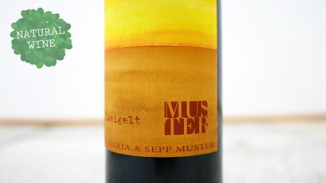 Zweigelt, Weingut Sepp Muster 2020 – SipWines Shop