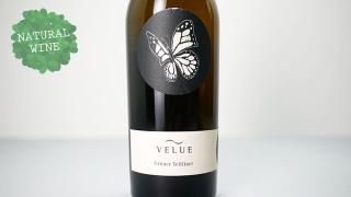 シュタイフ ウインザーベア（ワイン職人） 2100] VELUE Riesling 2019 Johannes Zillinger / ヴェルエ