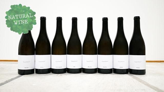 4320] PODFUCK 2017 MILAN NESTAREC / ポッドファック 2017 ミラン