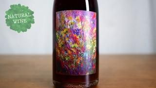 [2800] George PetNat Pinot Noir 2019 JH MEYER WINE / 硼 ڥåȥʥåȡԥΡΥ 2019 JHᥤ䡼磻