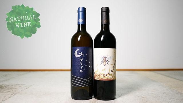 イタリア自然派ワイン ４本 トスカニー イタリアワイン専門店 / ブルット 2023 アルド