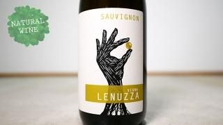 [2100] Sauvignon 2019 Lenuzza / ˥ 2019 ̥åĥ