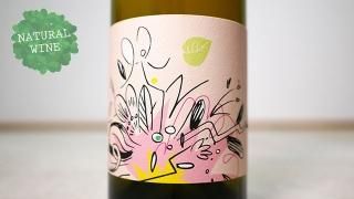 [2175] Bloom 2019 VIN DES POTES / ブルーム 2019 ヴァン・デ・ポット