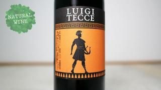 [1600] Orfeo 2017 Luigi Tecce / ե 2017 륤ƥå