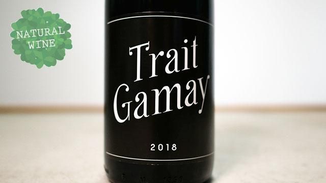 Trait Gamay 2021 | Rémi Sédès | Organic Natural Wine