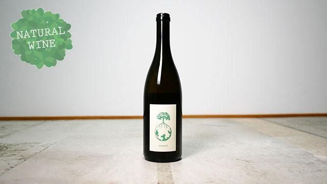 ヴェルリッチ　Ex vero II S 2022 Werlitsch 'Ex Vero II S' – Grape Witches