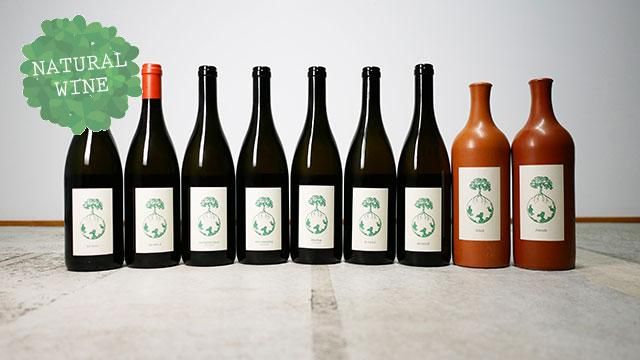 ヴェルリッチ　morillon 2022 Werlitsch Morillon vom Opok 2022 – Winemonger