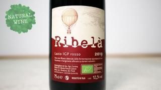 [2400] Rosso Ribela 2019 2019 Ribela / å٥ 2019 ٥